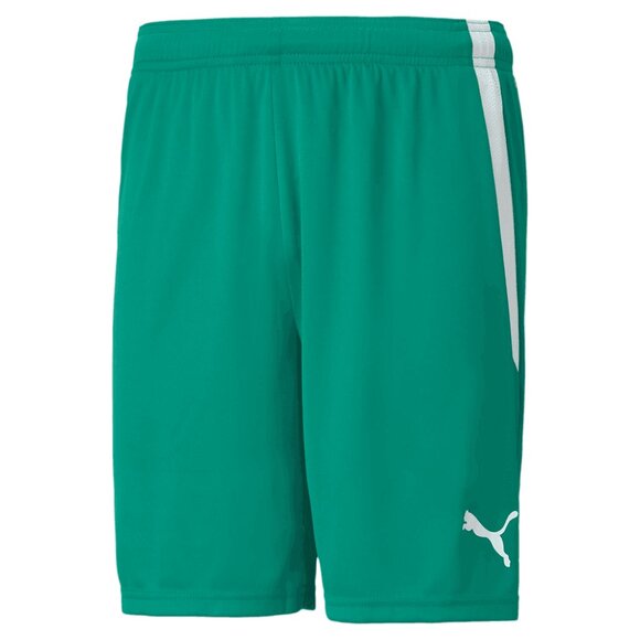 NWT PUMA Team LIGA Men’s Soccer Shorts – Lightweight Athletic Performance 704924 - Picture 3 of 6
